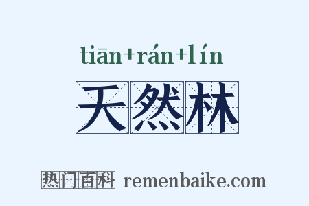 天然林是什么意思的图片